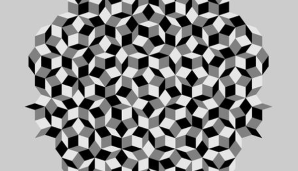 һֲѰľ壬ʹ3DӡӼ