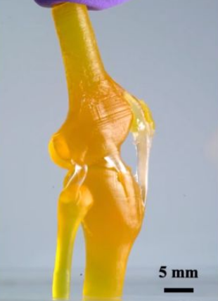 ¿˹ѧ˹͡Уо3Dӡϥؽڵʵ
