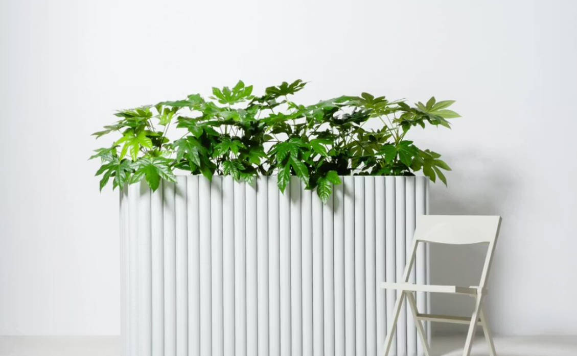 AectualƳBoxyģ黯ϵͳ